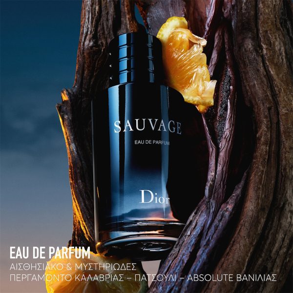 Type Dior Sauvage