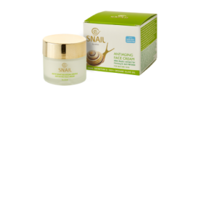 24h Antiaging Face Cream Mastic Extract